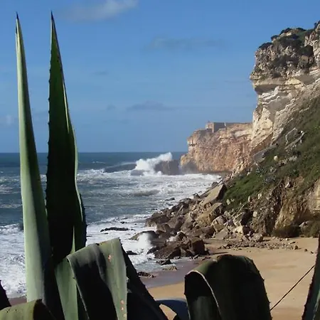 Quinta Camargue ベッド・アンド・ブレックファスト 3*