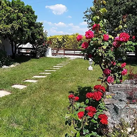 Bed and breakfast Quinta Camargue